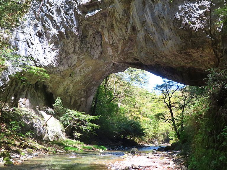 地域お助けプログラム「ひばサポ」参加者募集中！